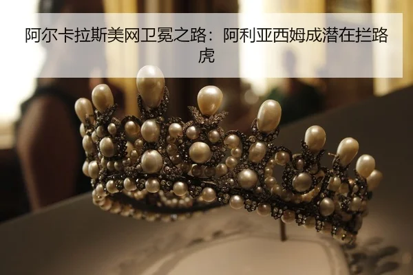 a-er-ka-la-si-mei-wang-wei-mian-zhi-lu-a-li-ya-xi-mu-cheng-qian-zai-lan-lu-hu-2-729.jpg
