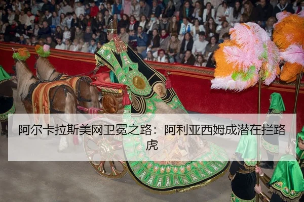 a-er-ka-la-si-mei-wang-wei-mian-zhi-lu-a-li-ya-xi-mu-cheng-qian-zai-lan-lu-hu-3-448.jpg
