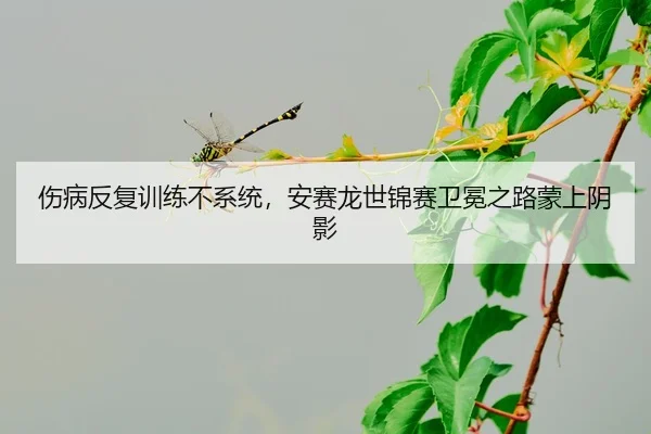 shang-bing-fan-fu-xun-lian-bu-xi-tong-an-sai-long-shi-jin-sai-wei-mian-zhi-lu-meng-shang-yin-ying-2-527.jpg