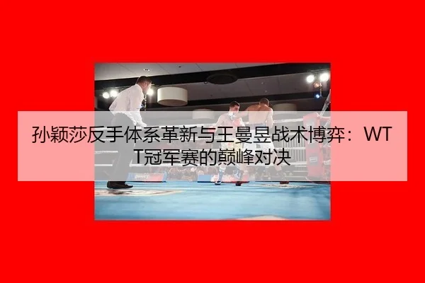 sun-ying-sha-fan-shou-ti-xi-ge-xin-yu-wang-man-yu-zhan-shu-bo-yi-guan-jun-sai-de-dian-feng-dui-jue-2-767.jpg