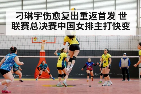 刁琳宇伤愈复出重返首发 世联赛总决赛中国女排主打快变