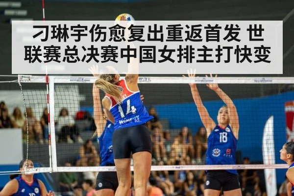 volleyball match action
